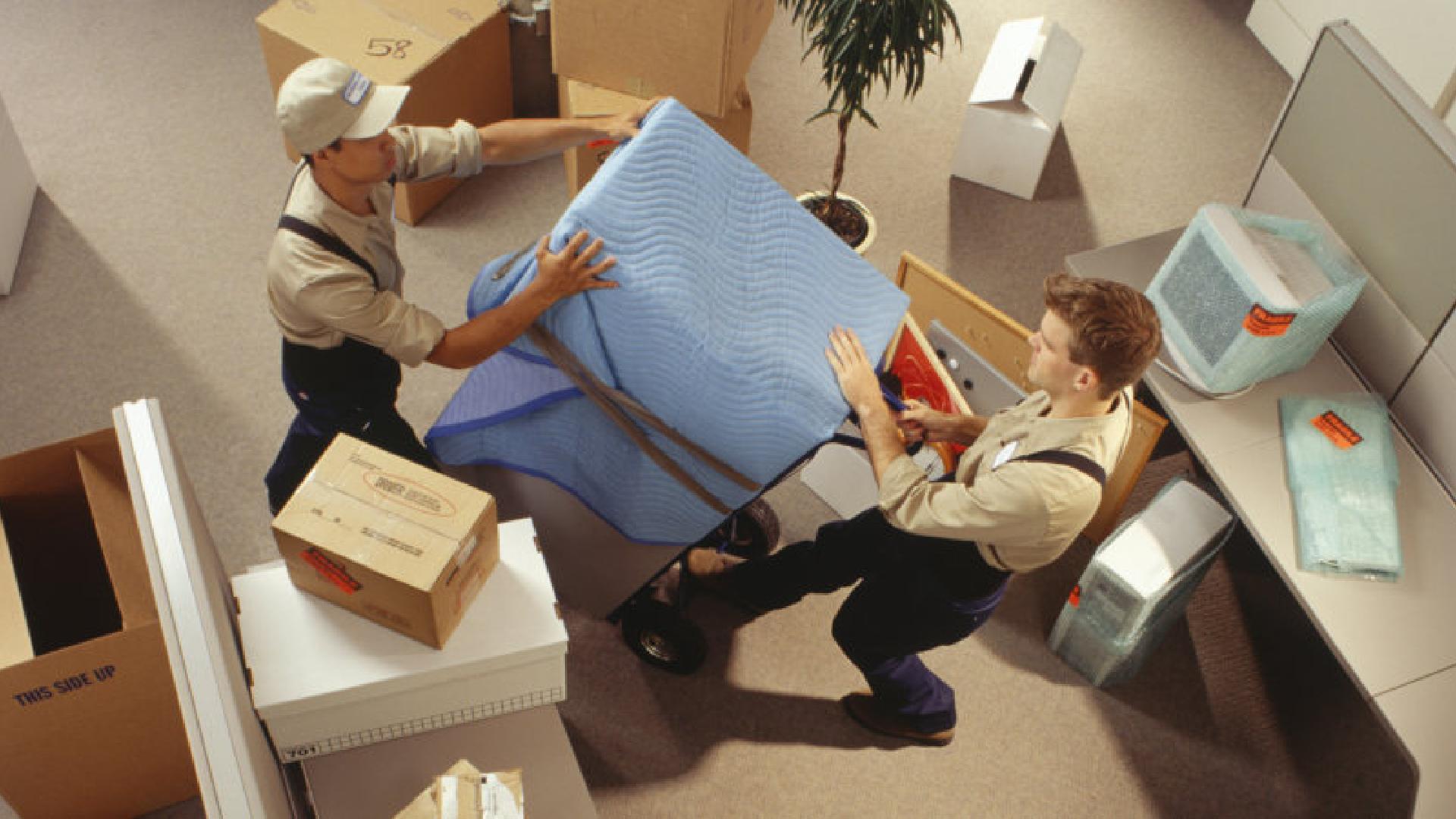 office movers in abu dhabi