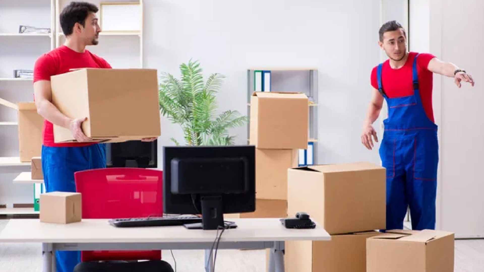 apartment shifting services 